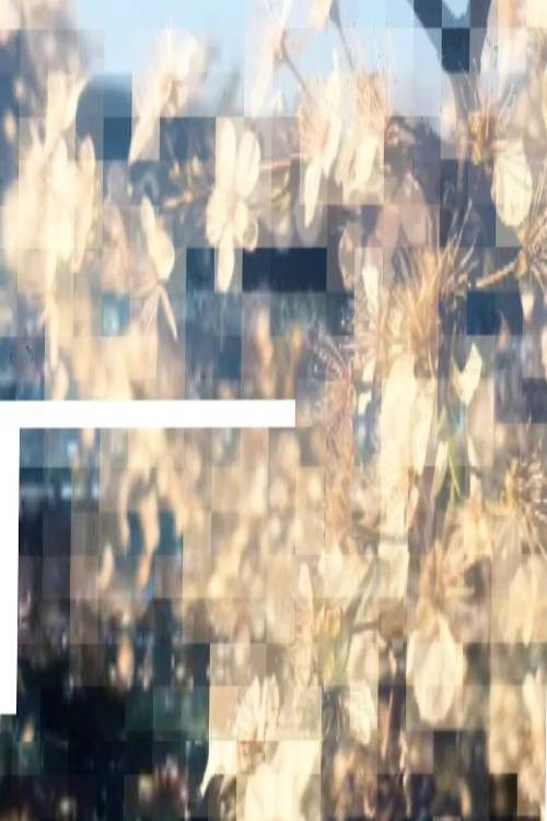 Chamomile Lips Part Four