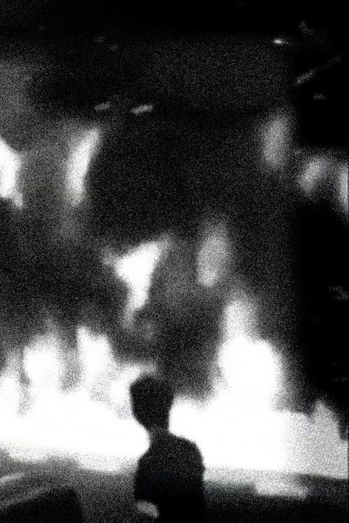 The World is Burning