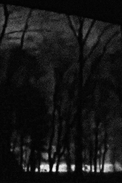 Keep Going, It Will Get Better.