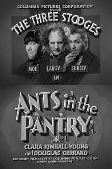 Ants in the Pantry