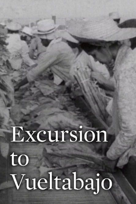 Excursion to Vueltabajo