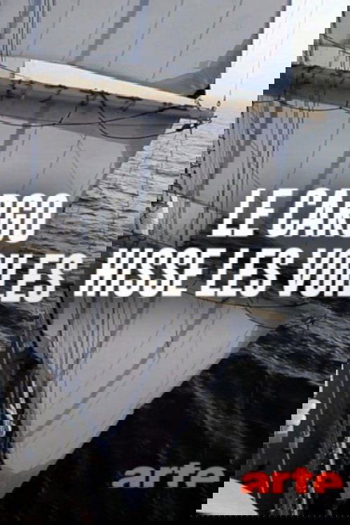 Klar zur Wende - Rückenwind für Frachtsegler