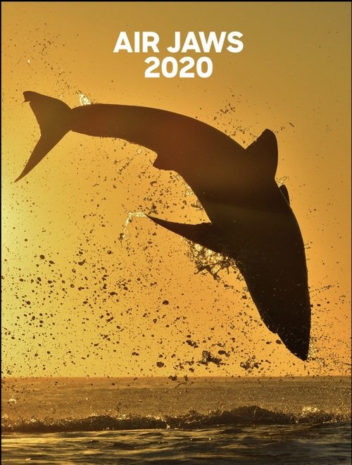 Air Jaws: 2020