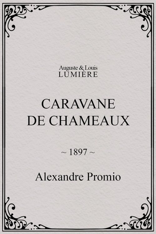 Caravane de chameaux