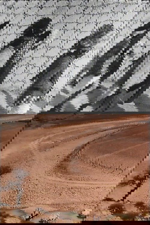 Los Pascoleros - Tarahumaras 85